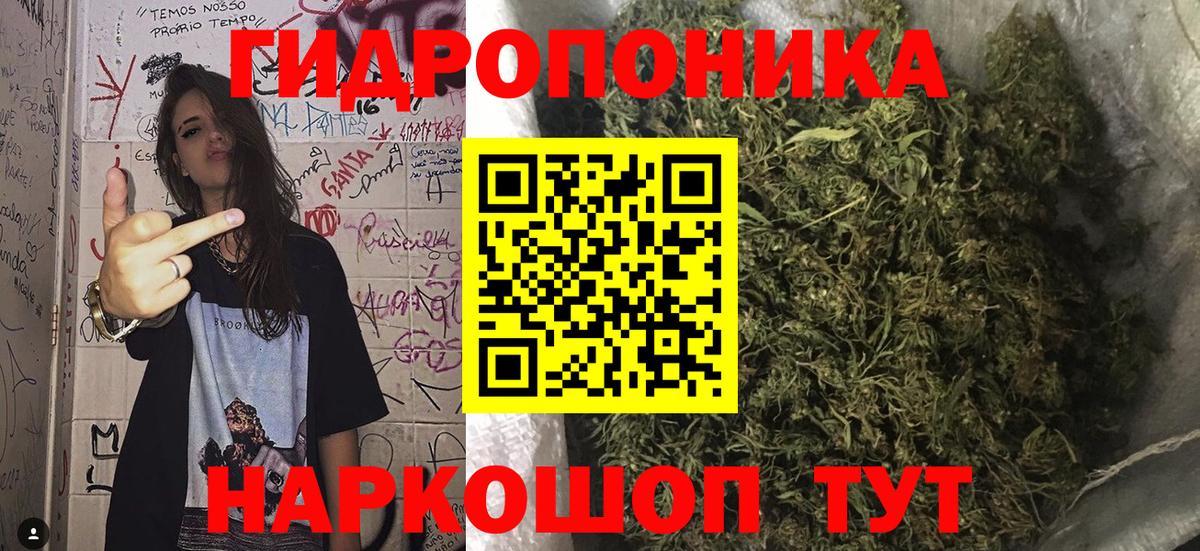 Нефтекамск  Марихуана White Widow  Вход с VPN  Бошки марихуана THC 21%  Марихуана гибрид 